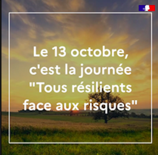 Journee_Reslience