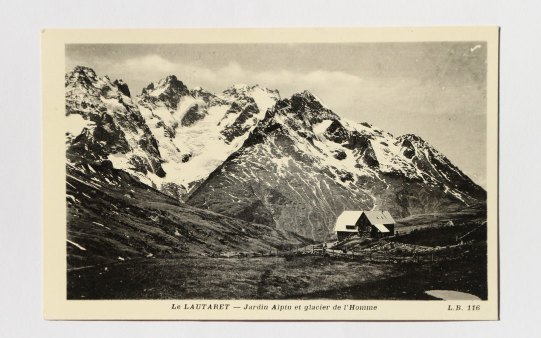 Névé intervient au Jardin Alpin du Lautaret