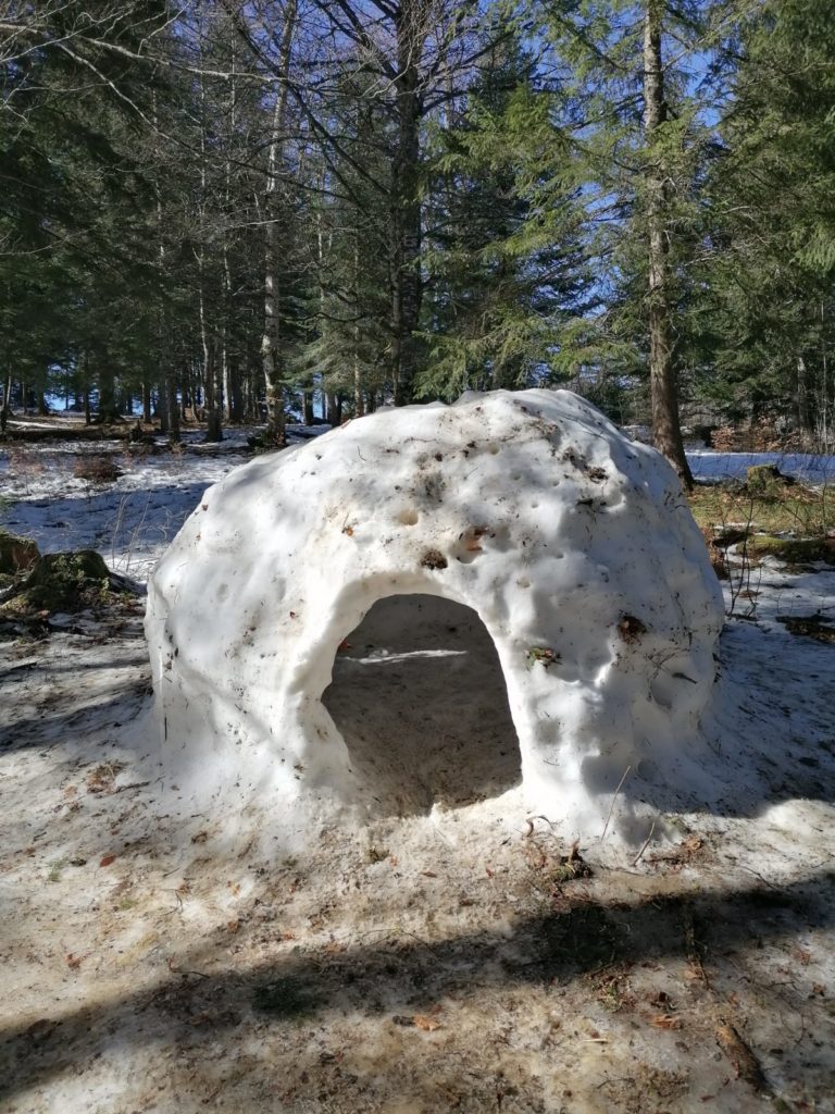 Igloo Col de Porte