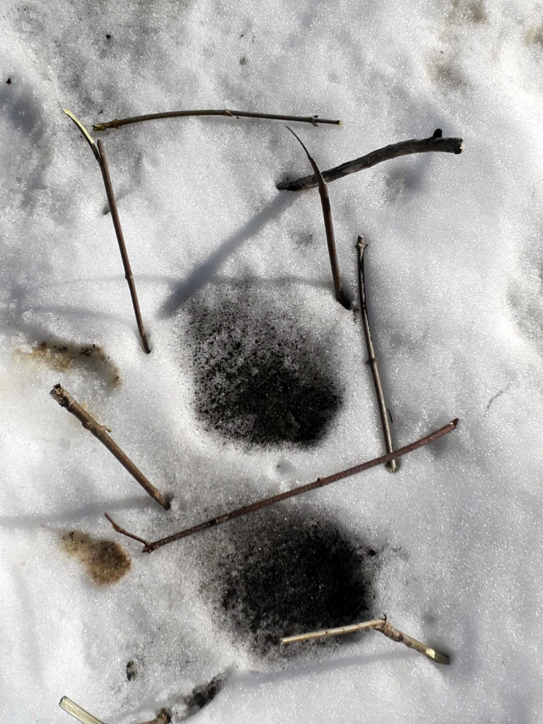 Expérience sur l'albédo de la neige